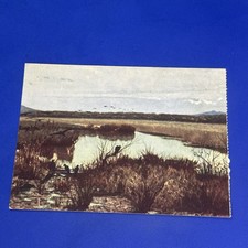 GUGLIELMO CIARDI LE PALUDI DI