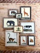 Dipinti in vetro retro animali