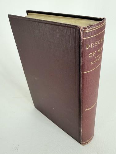 Vintage 2nd edition - vintage,