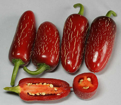 Semi peperoncino - 25, di