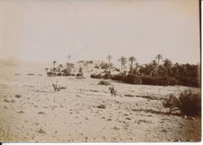 EL ALMAR AHMAR 1905 - Le Ksar