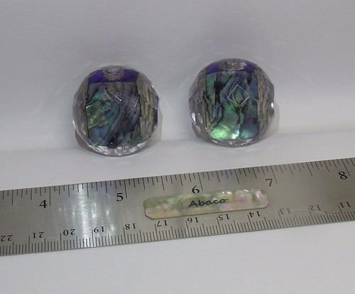 Due d paua abalone - due,
