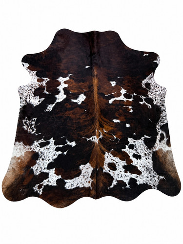 Xxxl premium pelliccia - pelliccia, di