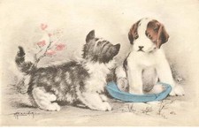 Gatto #FG35305 Cat E Cucciolo