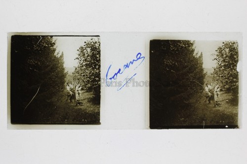 Legno foto amateur placca - il,