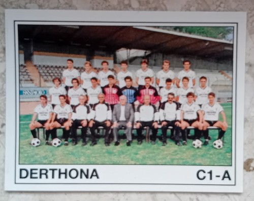 Figurina calciatori panini - figurina,