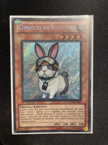 Coniglio soccorso secret - coniglio, da