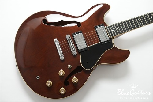 Chitarra elettrica