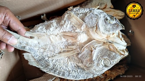 Pesce fresco salato