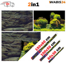 Pellicola posteriore per