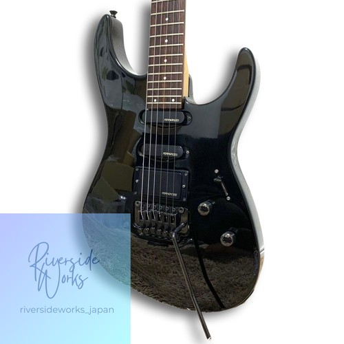 Rara chitarra elettrica