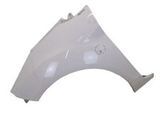 Anteriore Parafango Sinistro