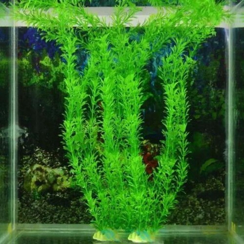 Piante artificiali acquario - piante,