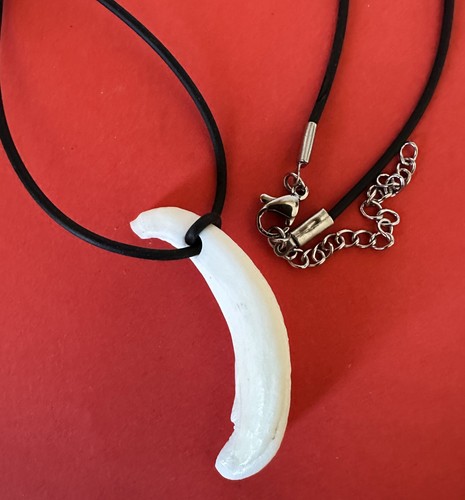 Collana particolare con - particolare, dente