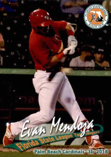 2018 florida state league - state,