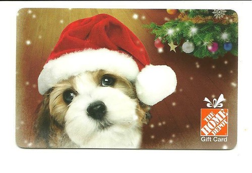 Home depot cute puppy - depot,