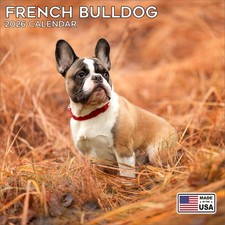 Calendario Bulldog Francese