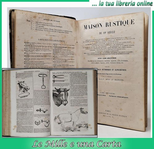 Maison rustique siecle - maison,