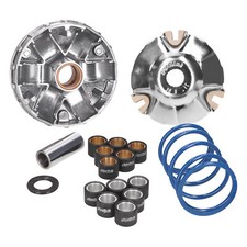 MF8246 Variatore Polini