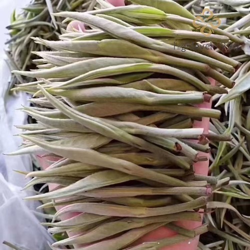 500 ago argento yunnan - g,