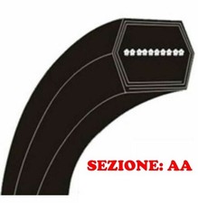 Cinghia esagonale trattorino