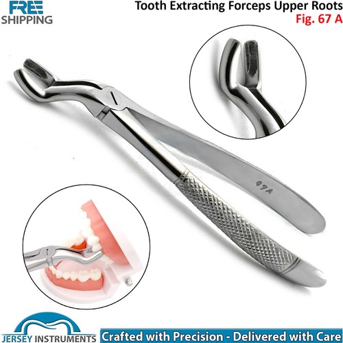 Pinza denti estrazione dentale
