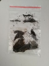 teloxis aristata SEMI TELOXIS