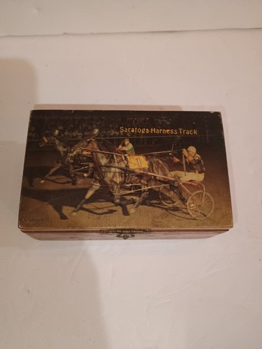 Saratoga imbracatura pista - imbracatura,