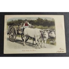 Cartolina Carro Tirato da Buoi