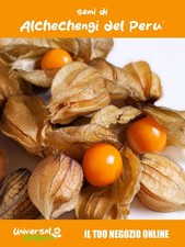 100 Semi di Alchechengi del