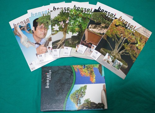 Bonsai focus rivista di arte - rivista,