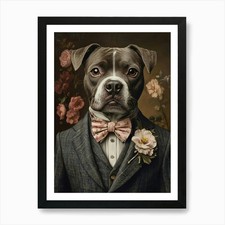 Staffy Staffordshire Bull