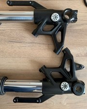 Fourche triumph 765 Street