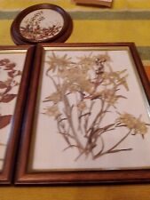 N.3 Quadretti Con Fiori Essicati E Stelle Alpine  22x27 Ovale 17x22
