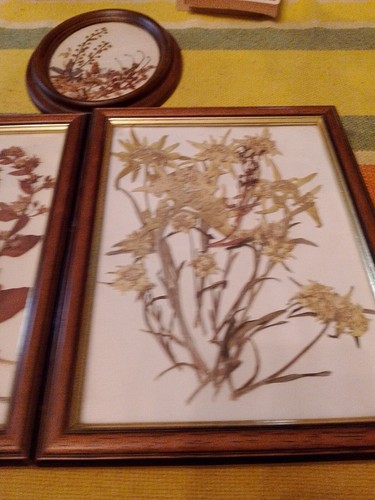 Quadretti con fiori - quadretti,