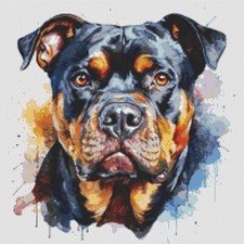 American Bully Puppy Dog opera