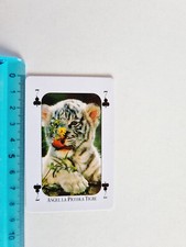 ANGEL TIGRE TIGER CARD RARE