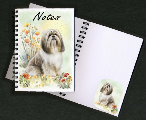 Lhasa apso dog - apso,