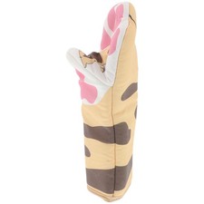  Cucina Gatto Accessori