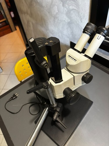 Wild heerbrugg microscopio - wild,