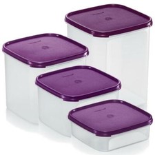 Tupperware Modular Mates