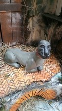Mastino napoletano in