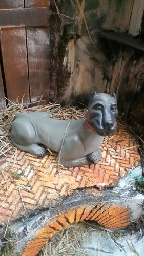 Mastino napoletano - , in