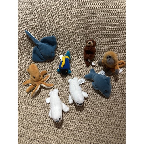 Pound ocean puppies and - pound,
