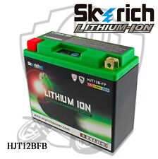 BATTERIA LITIO SKYRICH