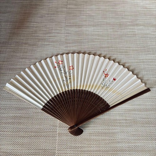 Set coppia ventagli - set,