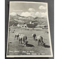 Cartolina Alpe di Motta -