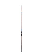 Canna Daiwa Megaforce