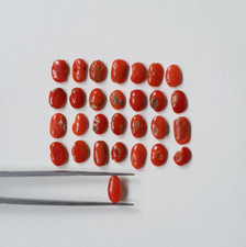 Mediterranea Mare Naturale