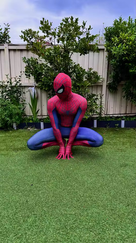 Costume spider hero cosplay - spider,